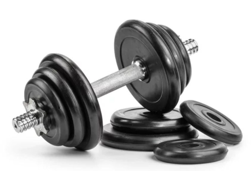 Dumbbell and weight plates
